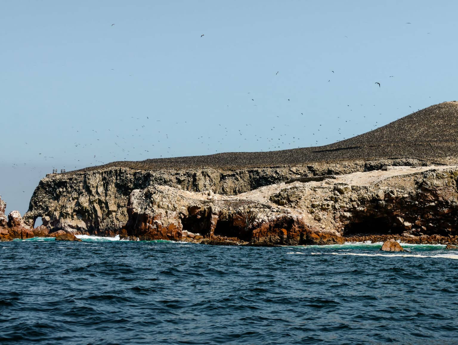 Bei einem Bootsausflug zu den Ballestas Islands kannst du zahlreiche Seevögel, Seelöwen und Humboldt-Pinguine sehen.