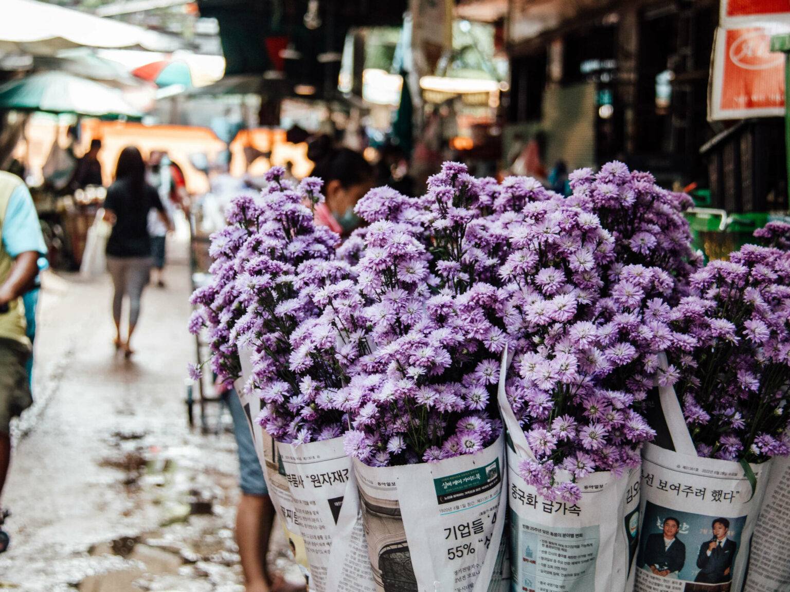 Lilafarbene Blumen in Zeitungspapier eingewickelt auf einem Markt in Bangkok.
