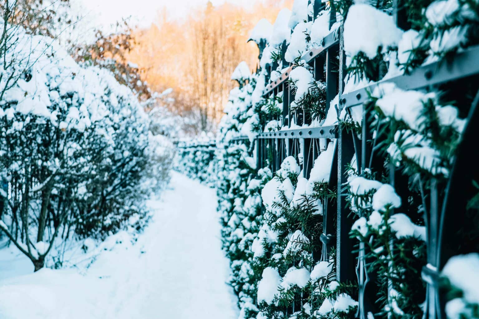 Die Chance, durch Schnee zu spazieren, liegt im Winter hoch.