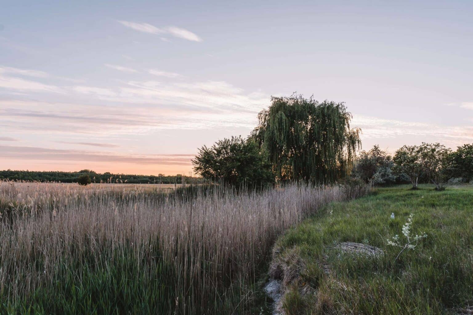 Diese Idylle lässt einen ganz wunderbar zur Ruhe kommen. Foto: @Goodmorningworld – Melanie Schillinger 