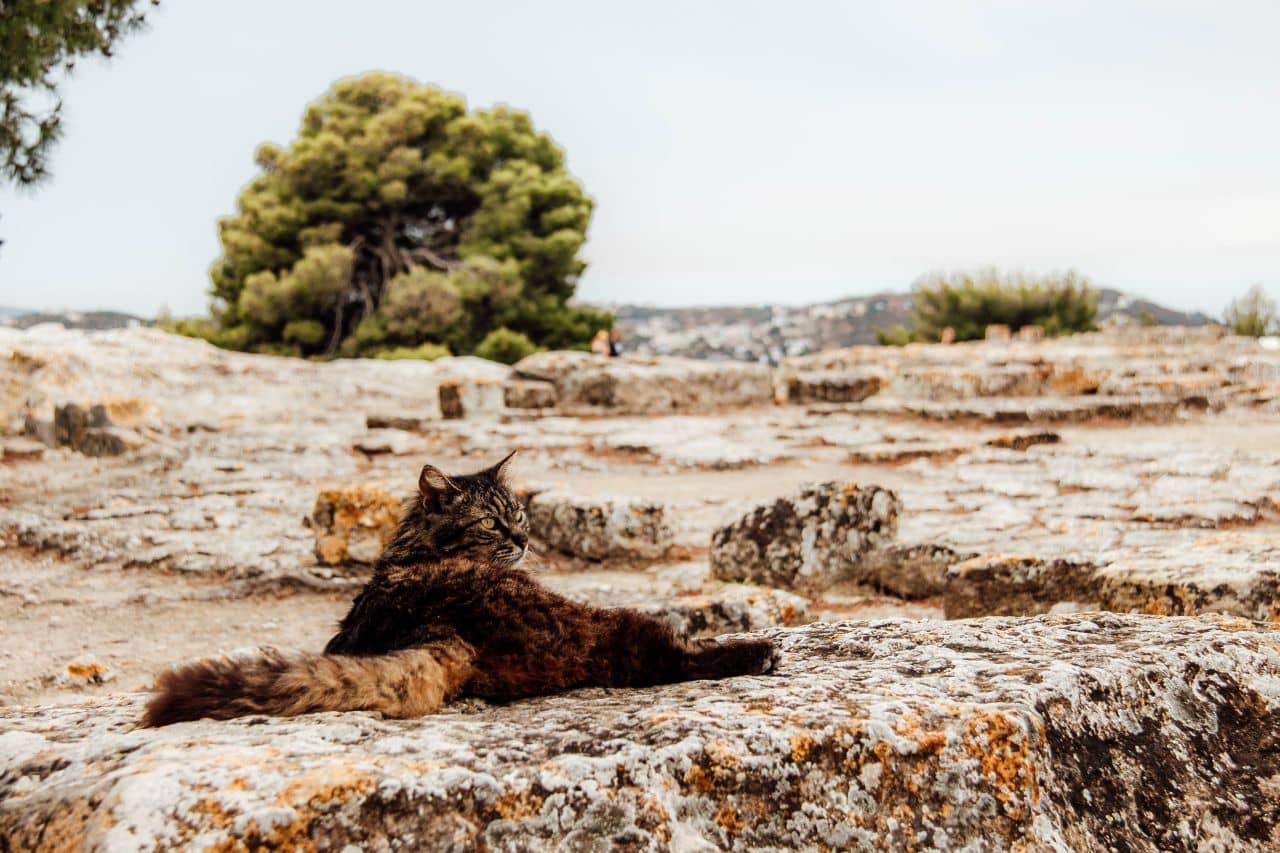 Ebenso bedeutsam aber deutlich entspannter: Am Palast von Phaistos.