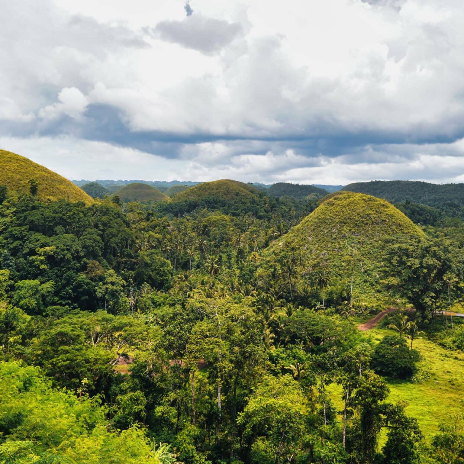 Verschiedene Pflanzen und Grüntöne prägen die Chocolate Hills auf Bohol.