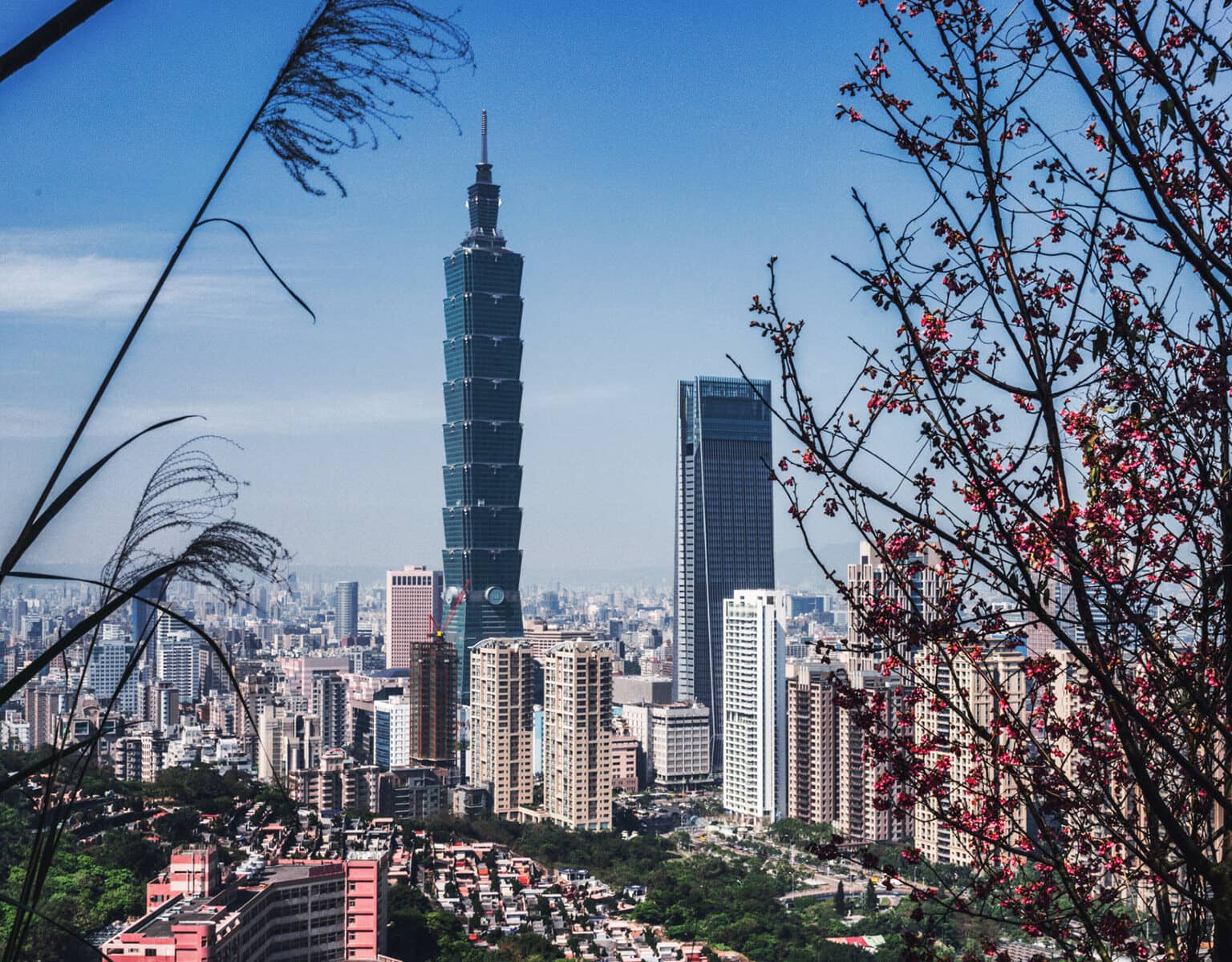 Aussicht vom Elephant Mountain auf Taipeh und dem Taipei 101.