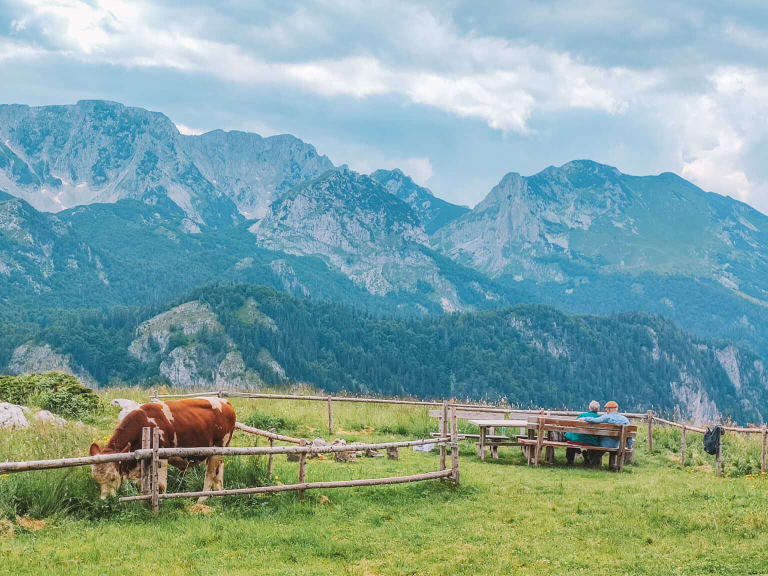 Unberührte Natur im Sutjeska-Nationalpark.