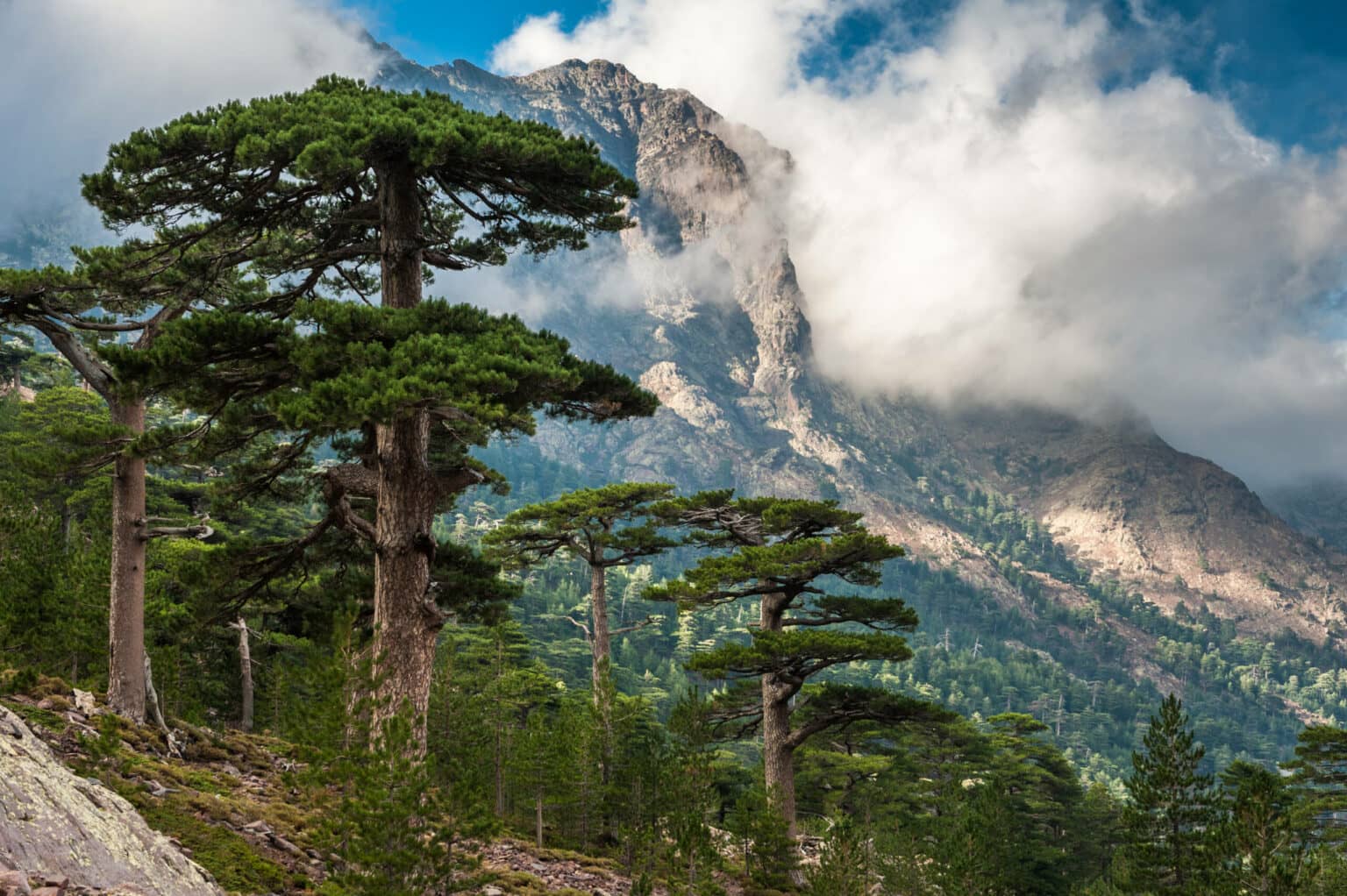 Wolkenverhangen und erhaben thront er über Koriska – der Monte Cinto.