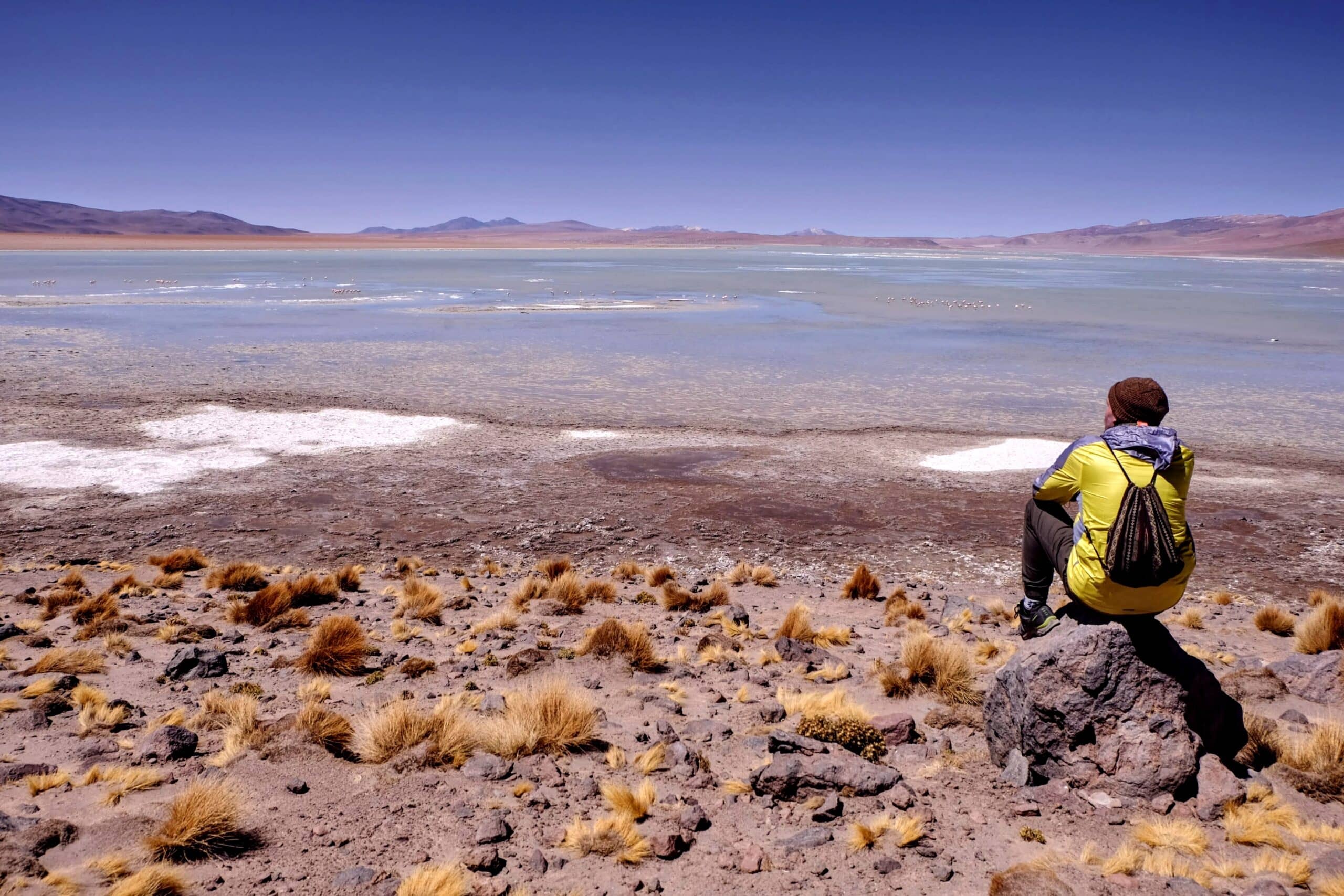 Reiseblogger Daniel blickt auf die Landschaft von Altiplano, einer Hochebene in Peru.