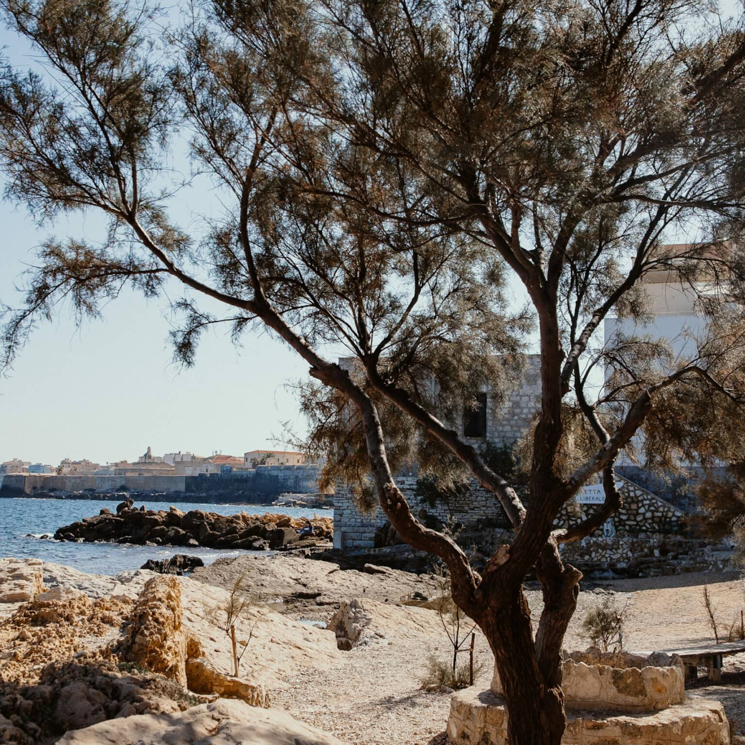 Ein versteckter Strand in Trapani, umgeben von alten Bäumen.