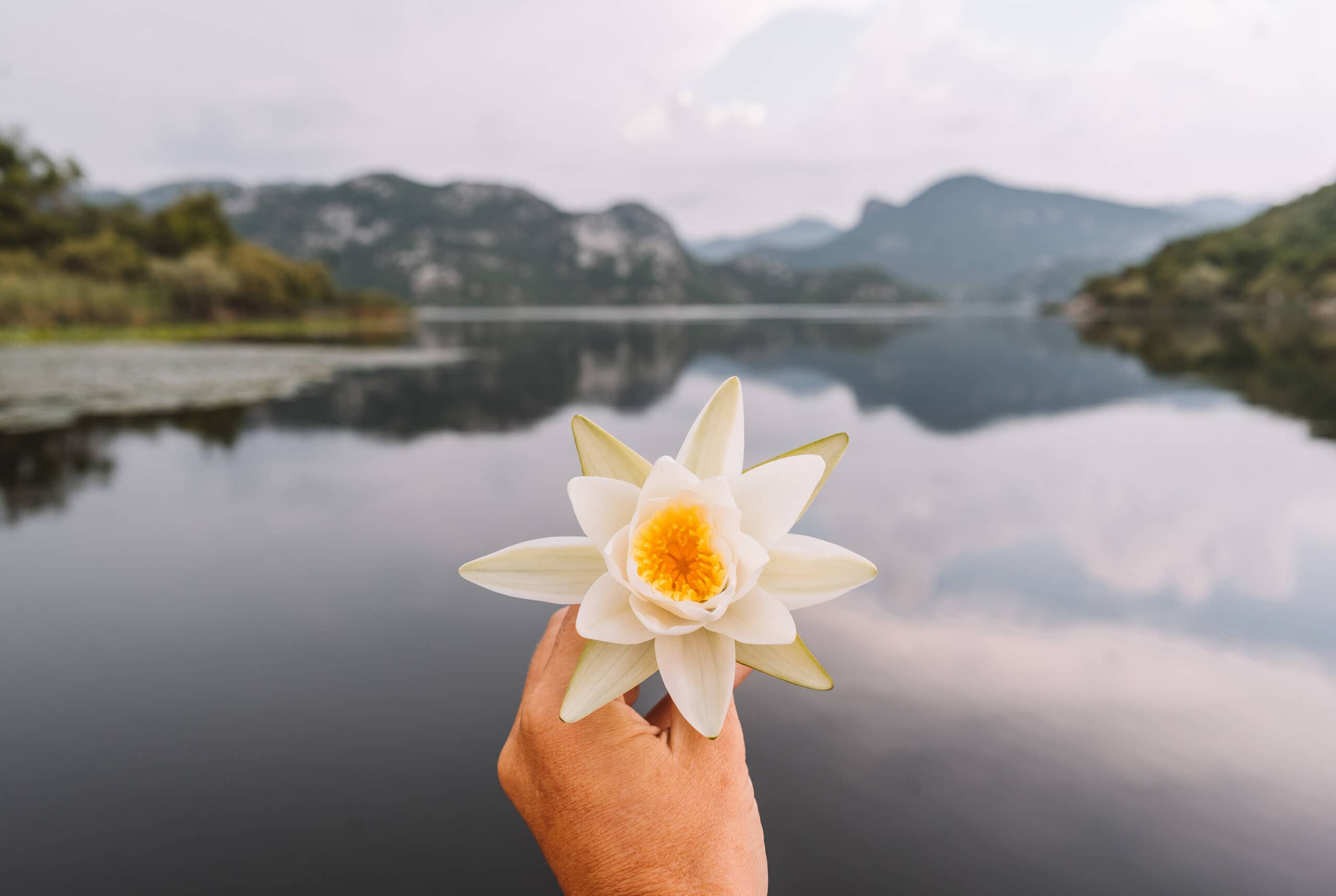 Entdecke Montenegro: Geheimtipps für deinen individuellen Urlaub