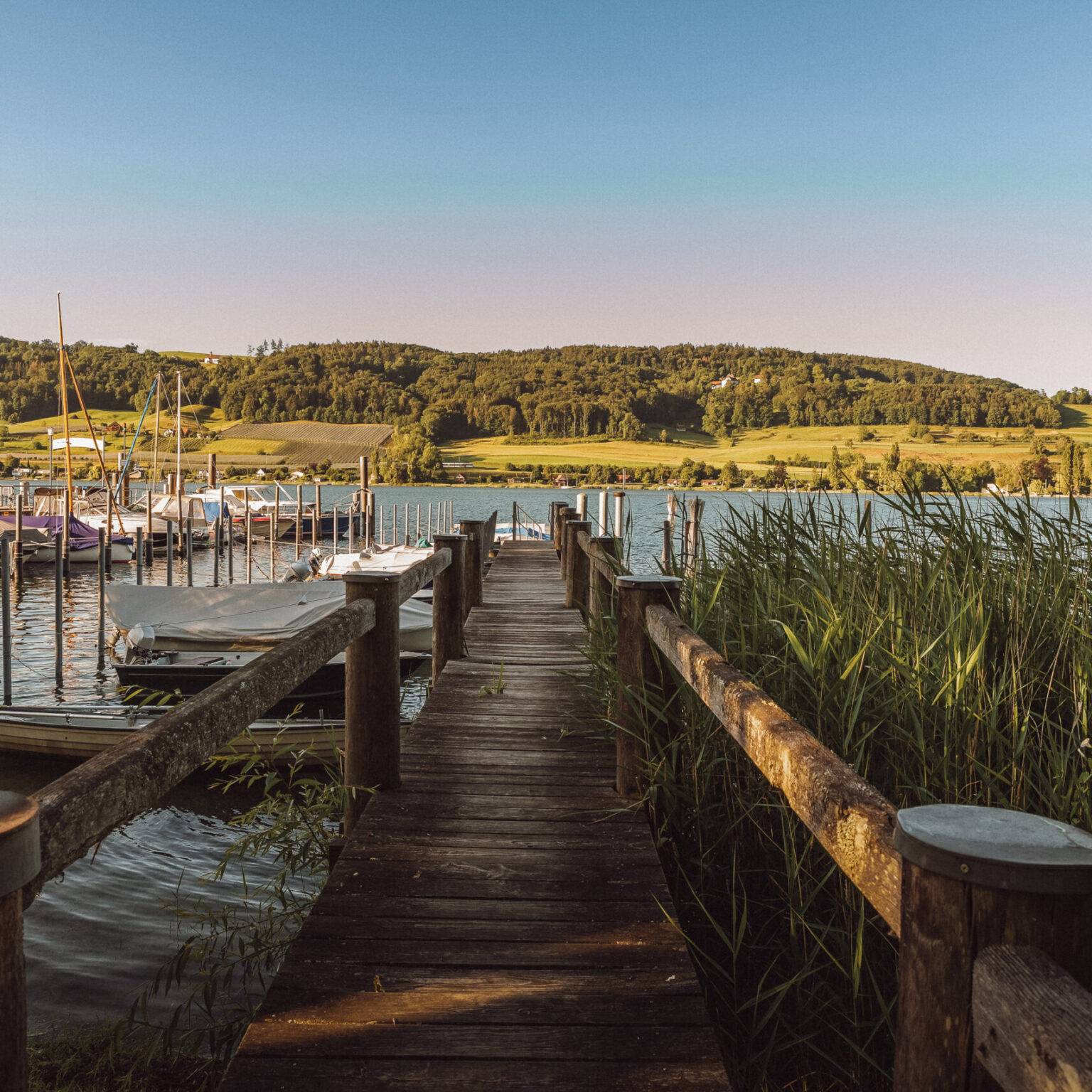 Ein Holzsteg, der auf den Bodensee führt mit Schild rechts und kleinen Booten links.