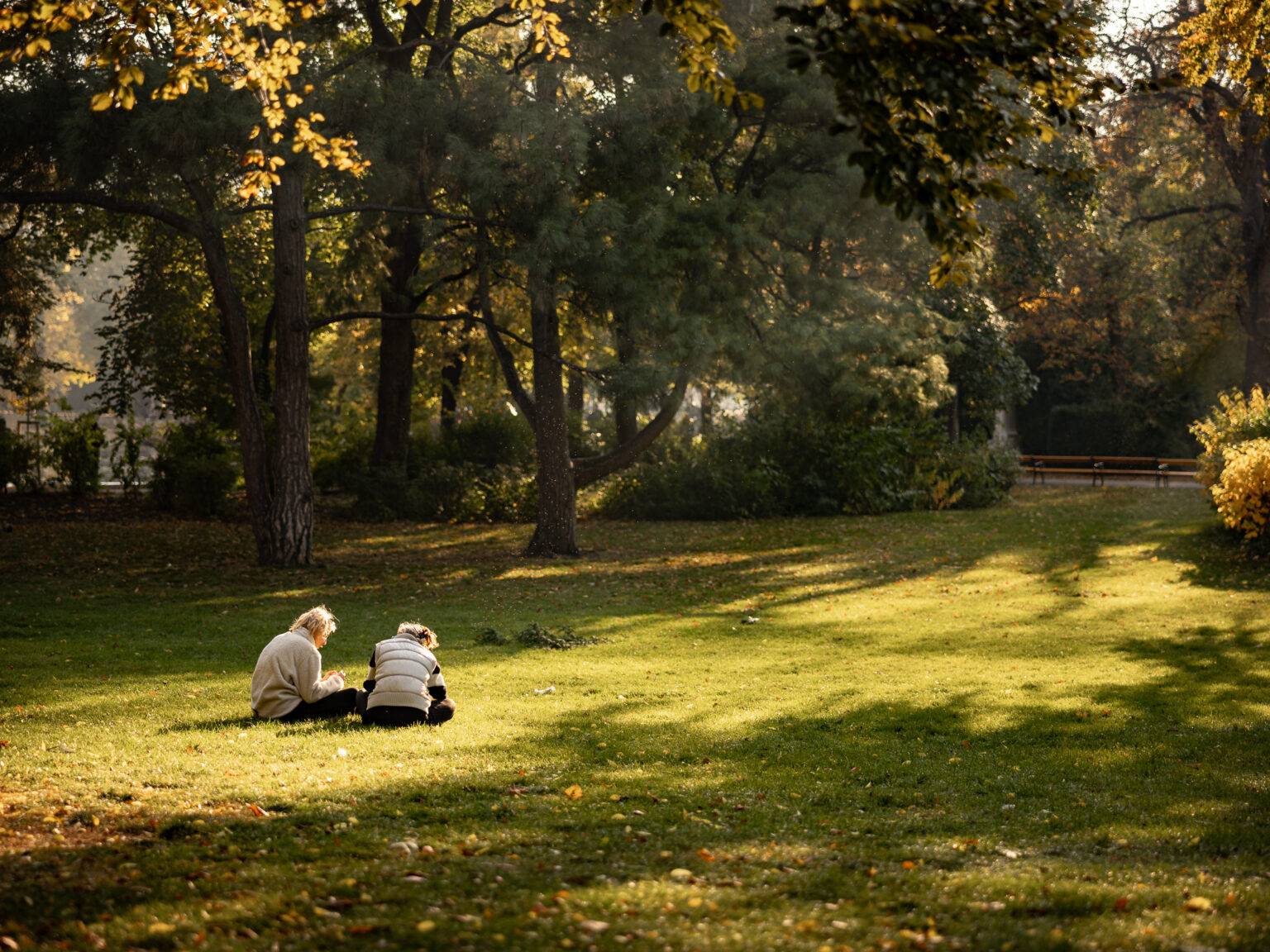 Zwei Personen sitzen auf einer Wiese im Stadtpark in Wien, umgeben von Bäumen und herbstlichem Licht.