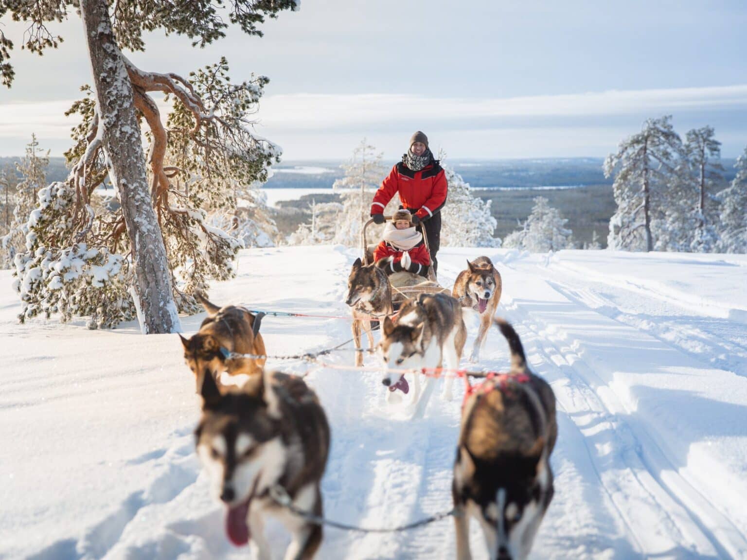 Ein Schlitten mit zwei Personen wird von Huskies durch die verschneite Landschaft in Finnland gezogen.