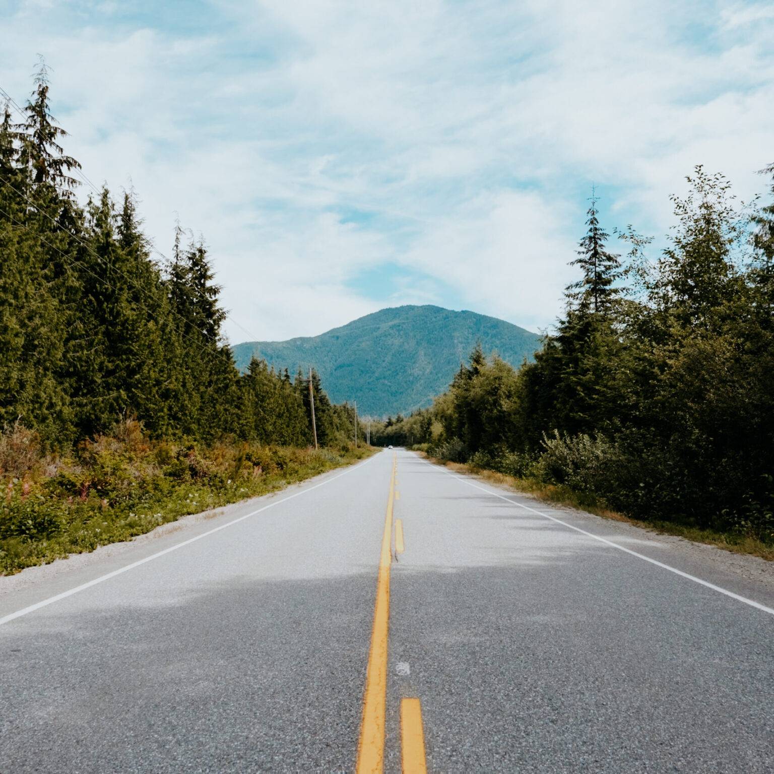 Eine lange asphaltierte Straße gesäumt von Bäumen.