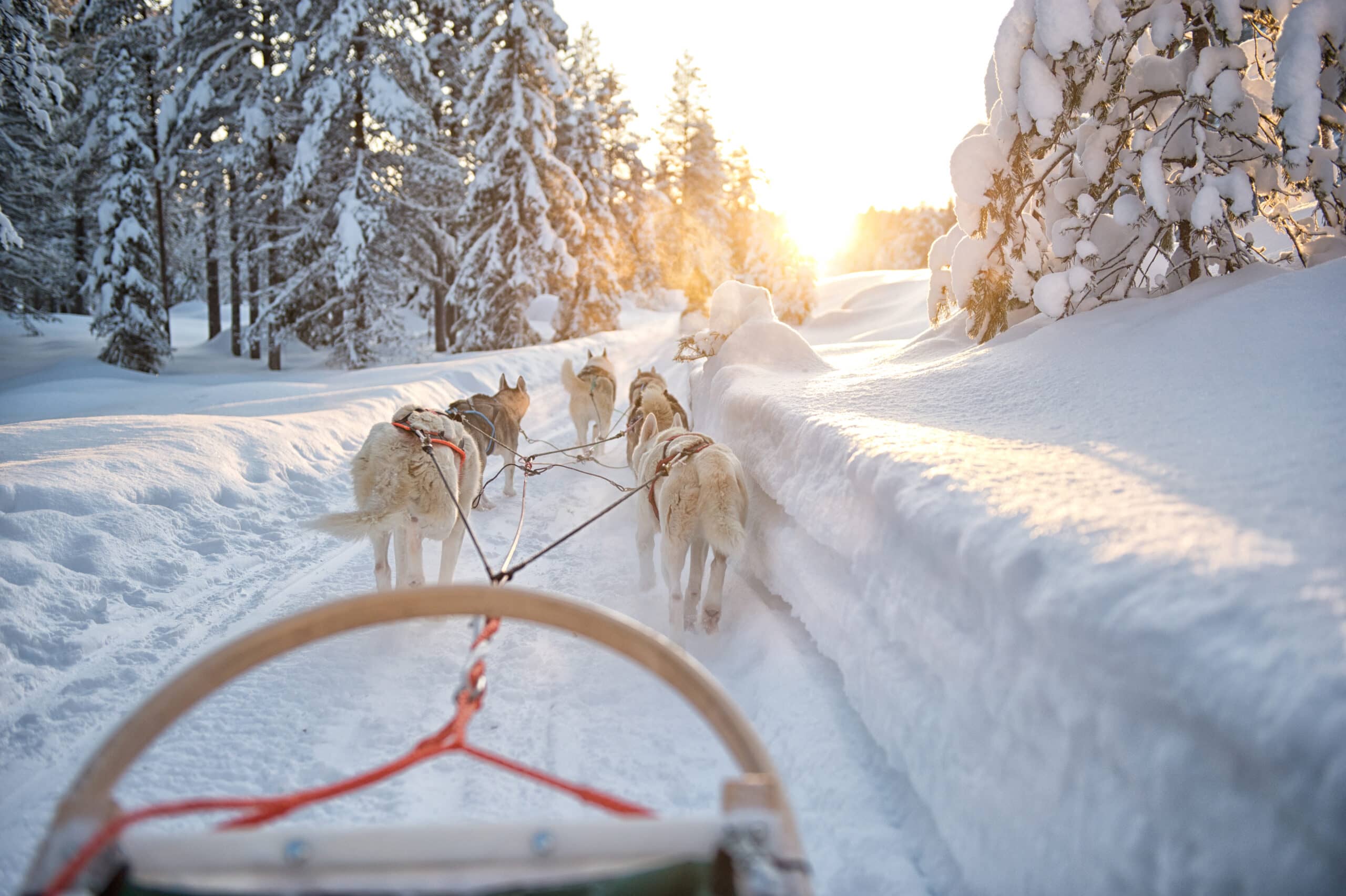 Abenteuer im Schnee: Ideen für deinen Winterurlaub