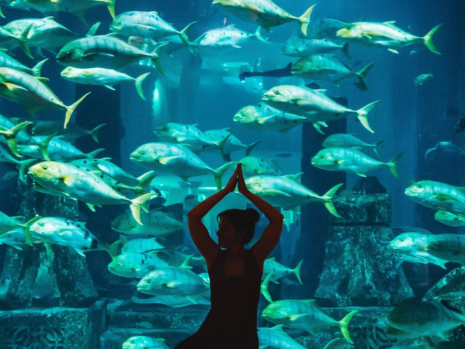 Eine Frau in einer Yoga-Pose vor einem großen Aquarium mit Fischschwarm.