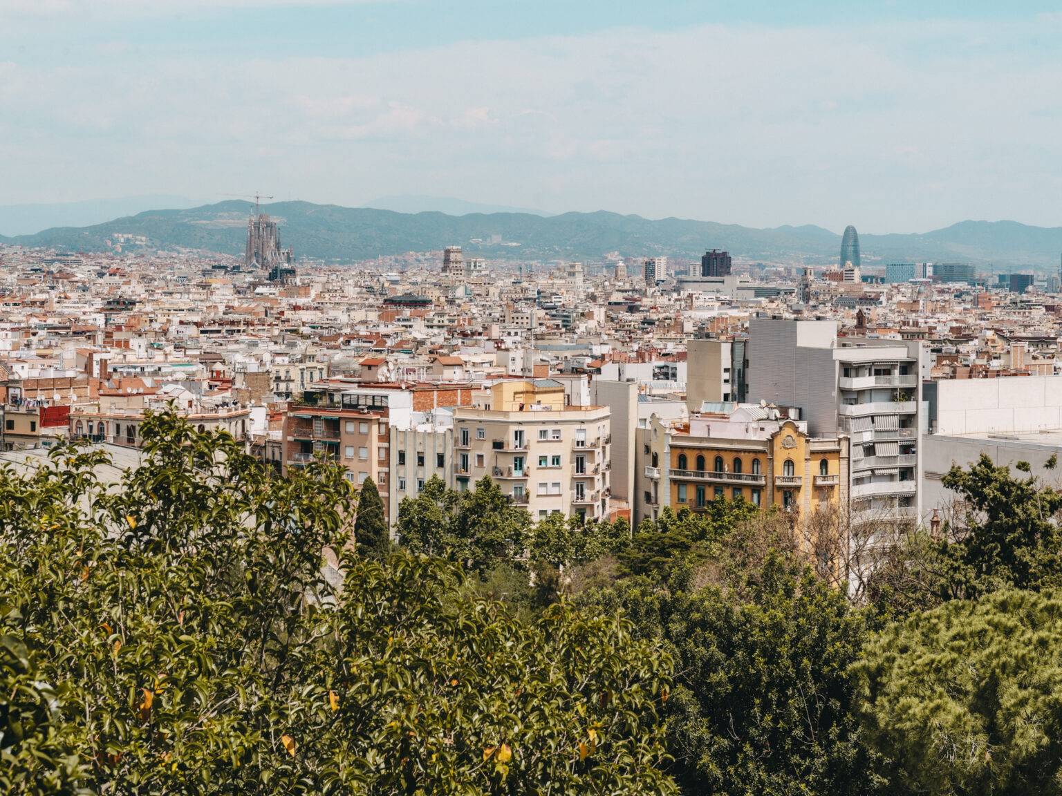 Die Skyline von Barcelona mit grünen Bäumen im Vordergrund und den Bergen im Hintergrund.
