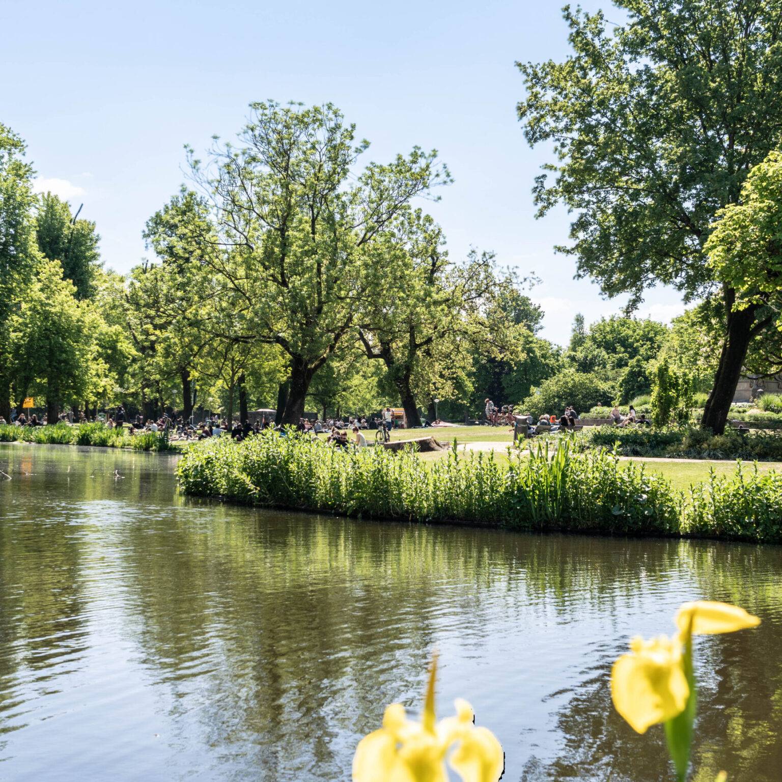 Menschen sitzen entspannt auf der Wiese im Vondelpark Amsterdam, im Vordergrund ein Teich und viel grünes Blattwerk.