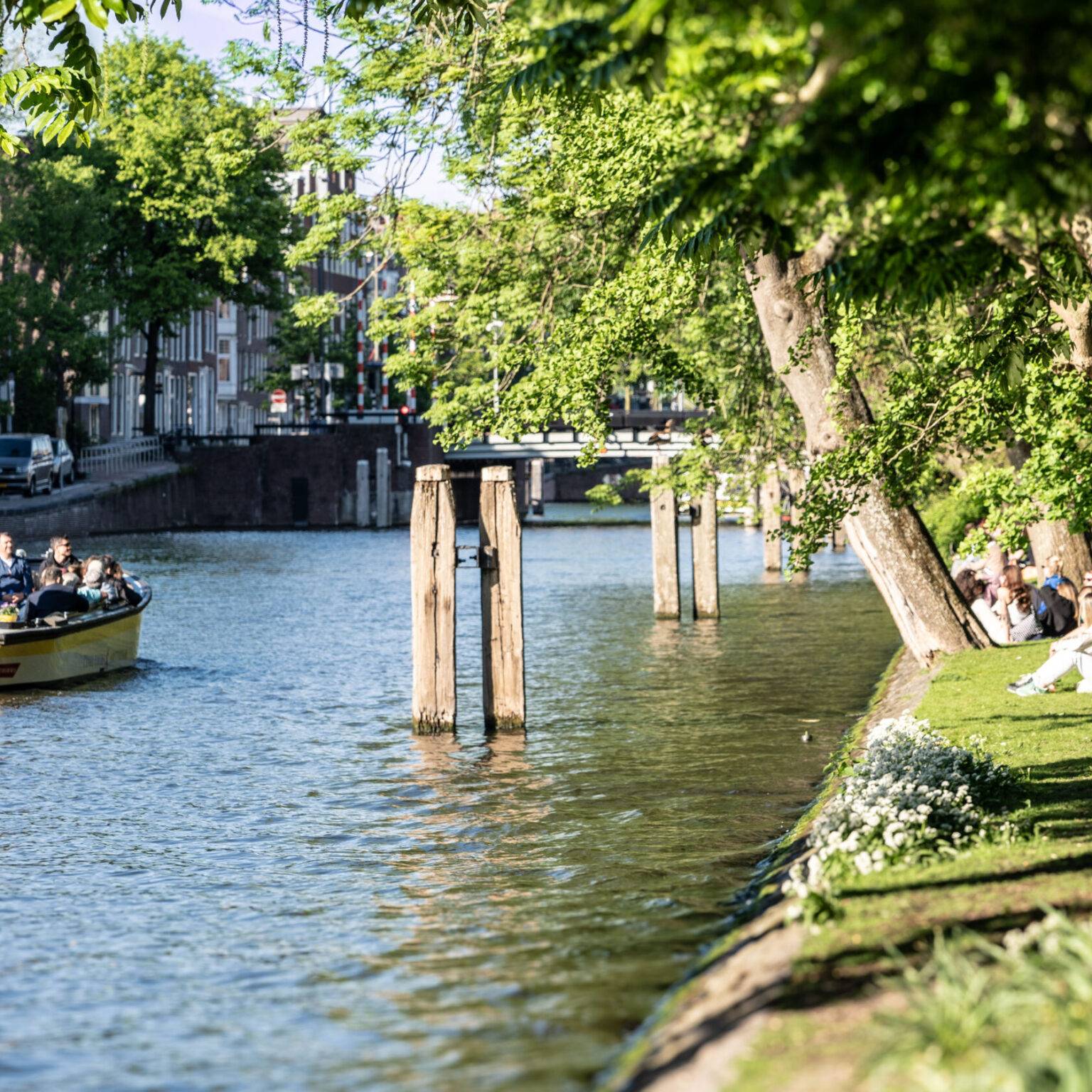 Menschen sitzen am Wasser im grünen Wertheimpark in Amsterdam, während ein Ausflugsboot vorbeifährt.