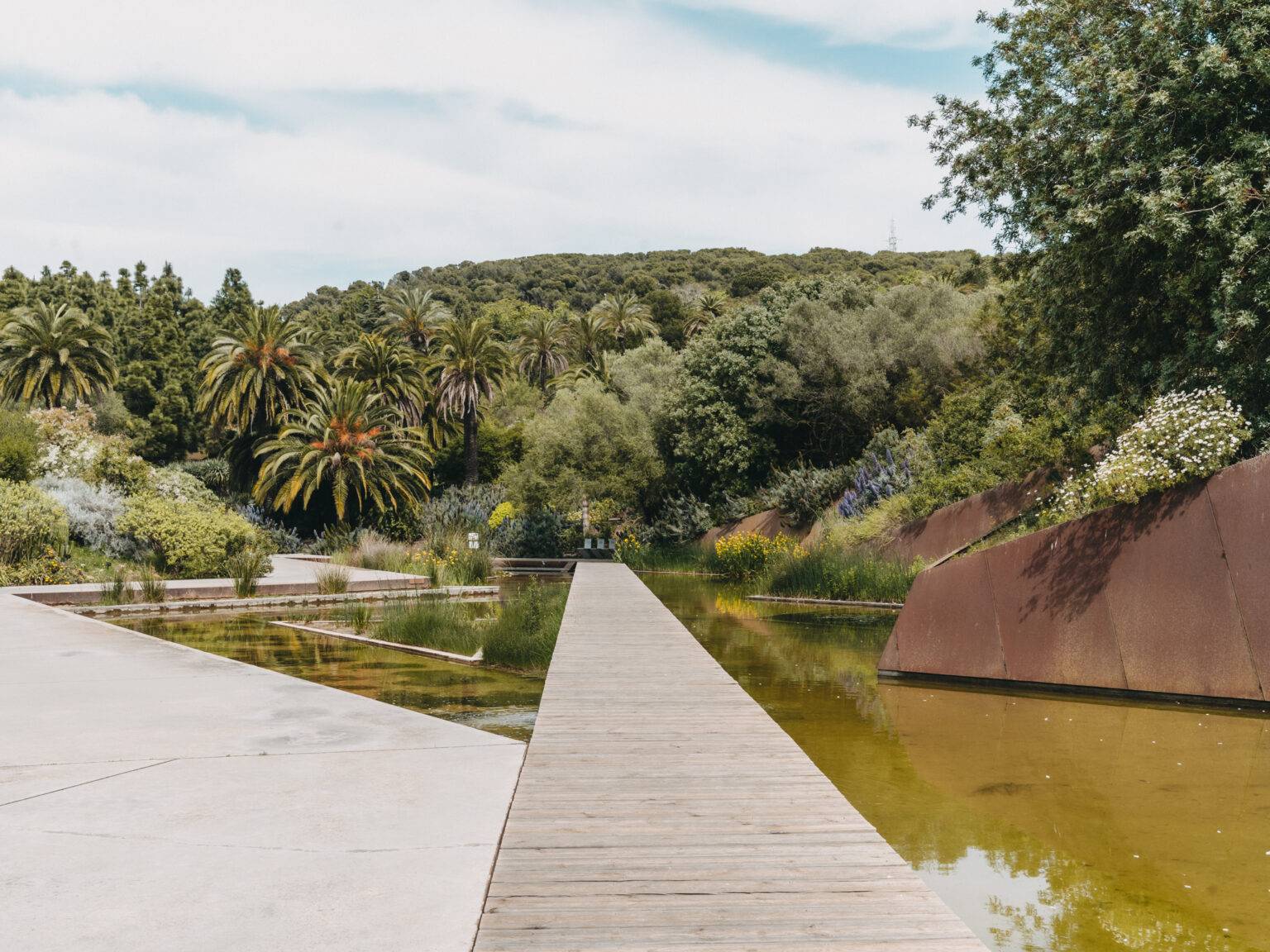 Ein Park auf dem Montjuic mit grünen Büschen und Palmen und einem flachen Teich im Vordergrund. Ein Holzsteg führt über den Teich.