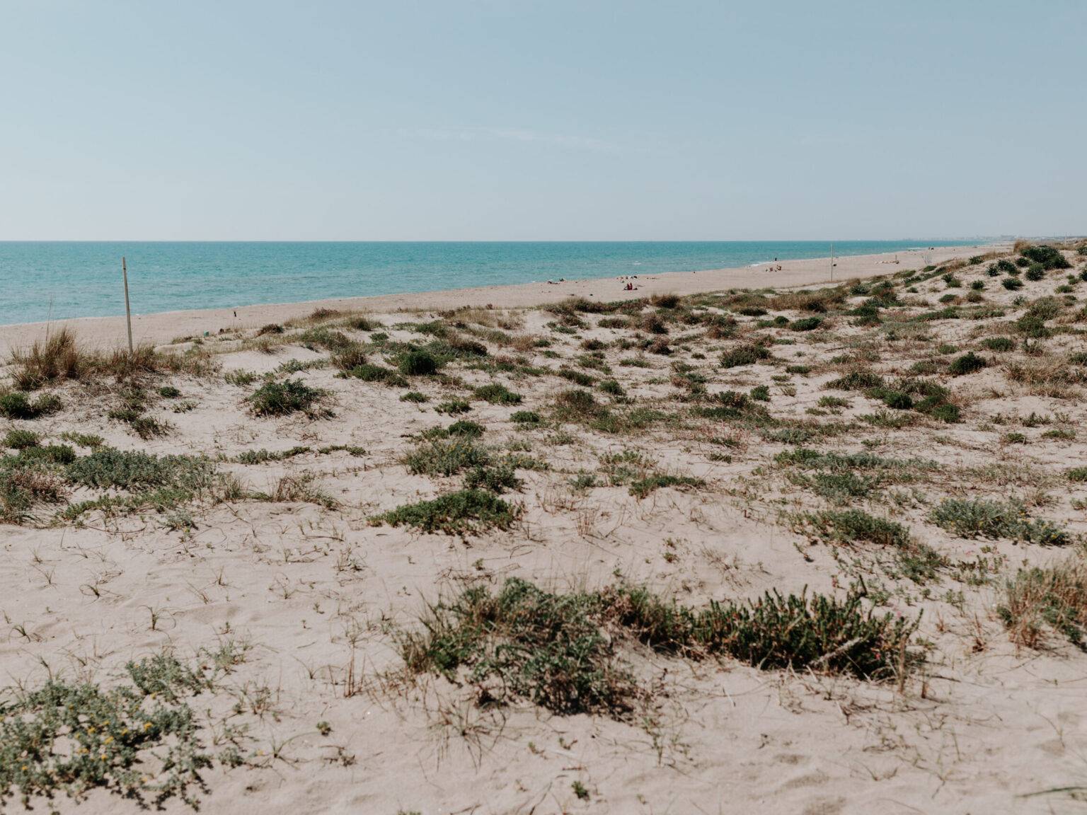 Naturbelassener Strand bei Cancello 7 südlich von Lido di Ostia.