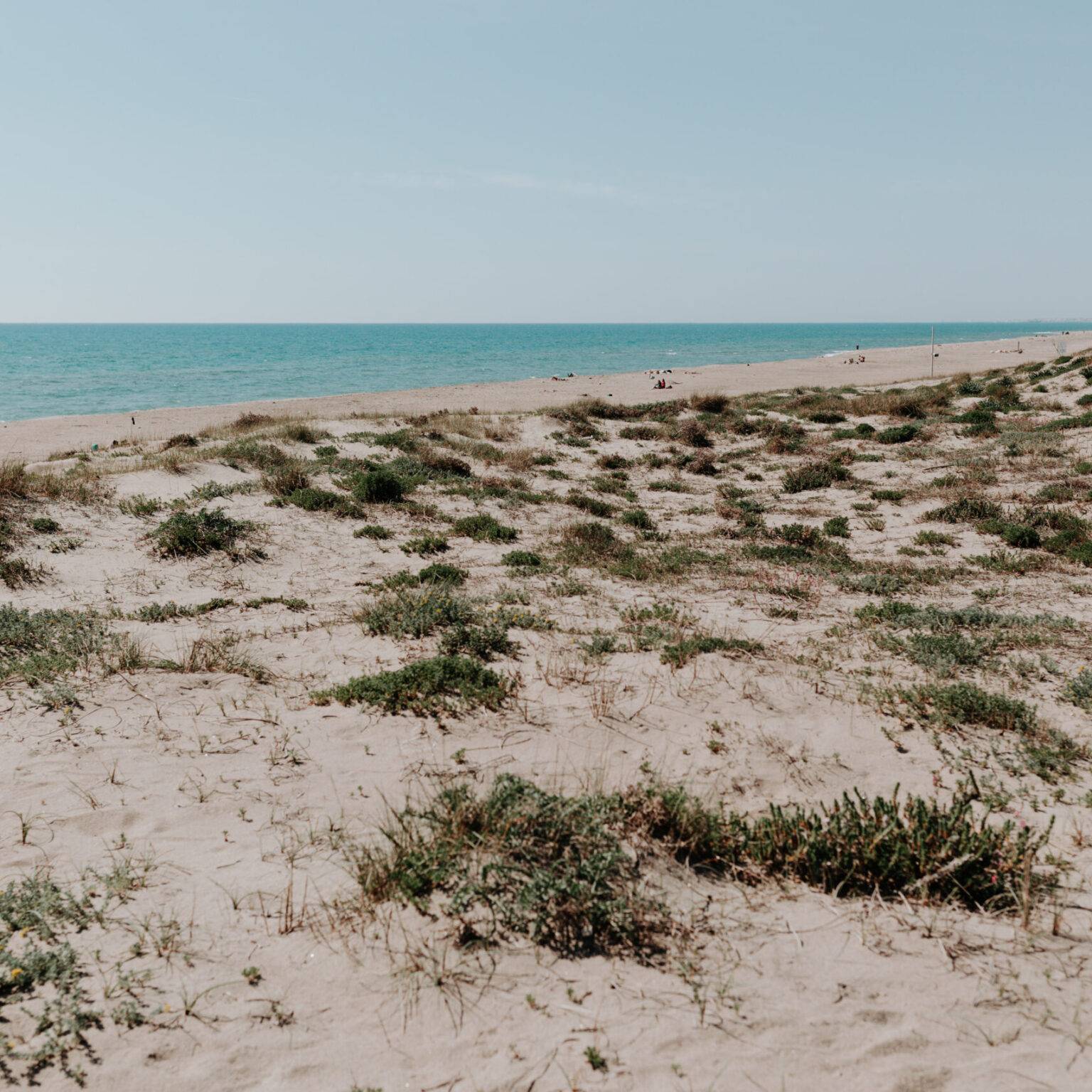 Naturbelassener Strand bei Cancello 7 südlich von Lido di Ostia.