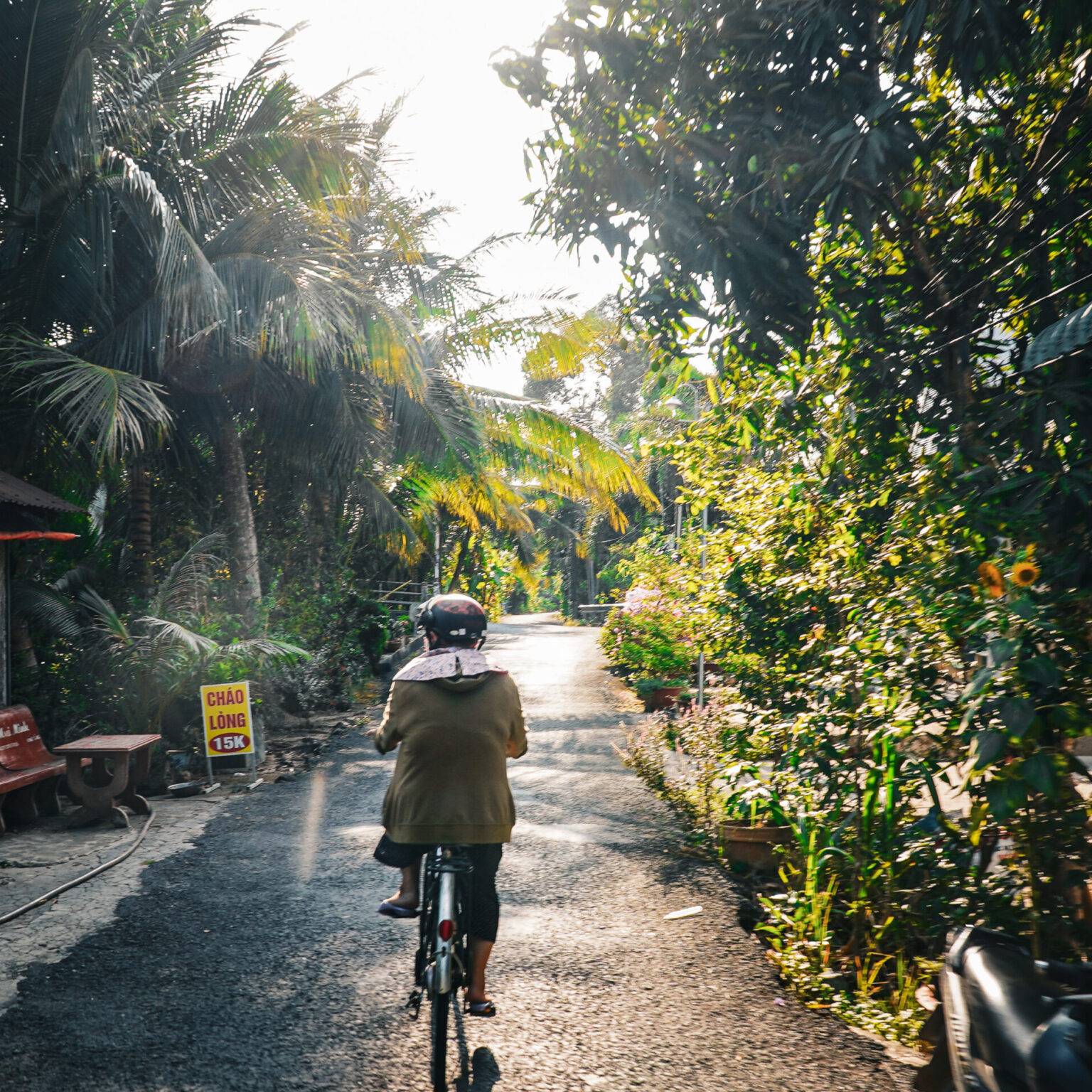 Eine Person fährt auf einem Fahrrad zwischen Palmen und grünen Pflanzen auf einem schmalen asphaltiertem Weg.