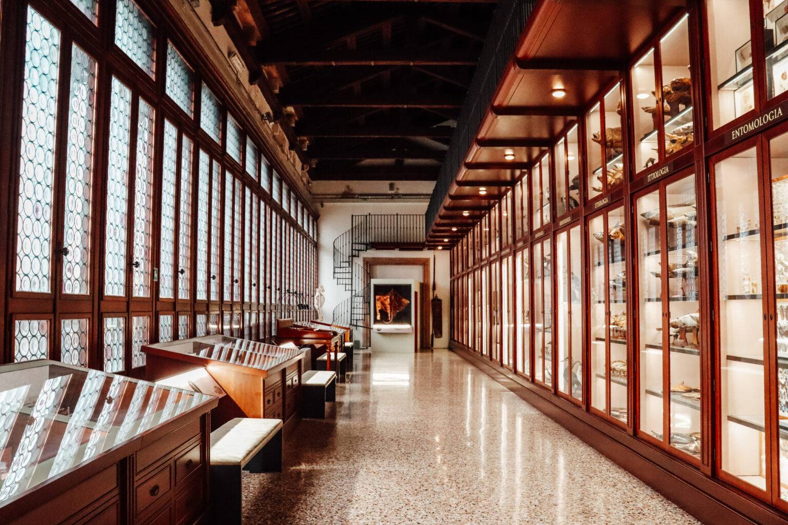 Ein Raum im Naturkundemuseum, in dem Insekten und andere Tiere ausgestellt sind.