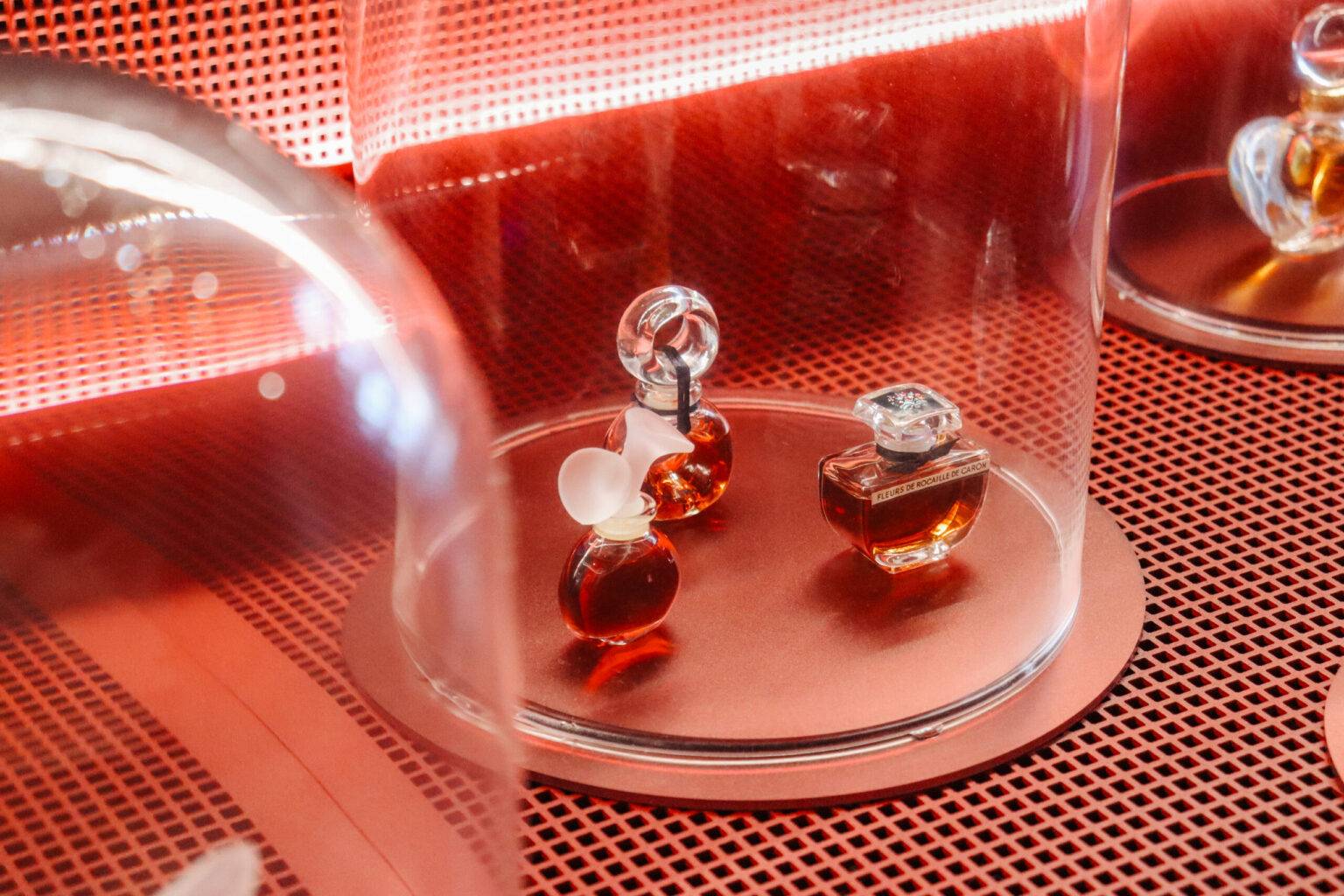 Unter einer Glashaube stehen Parfümflakons.