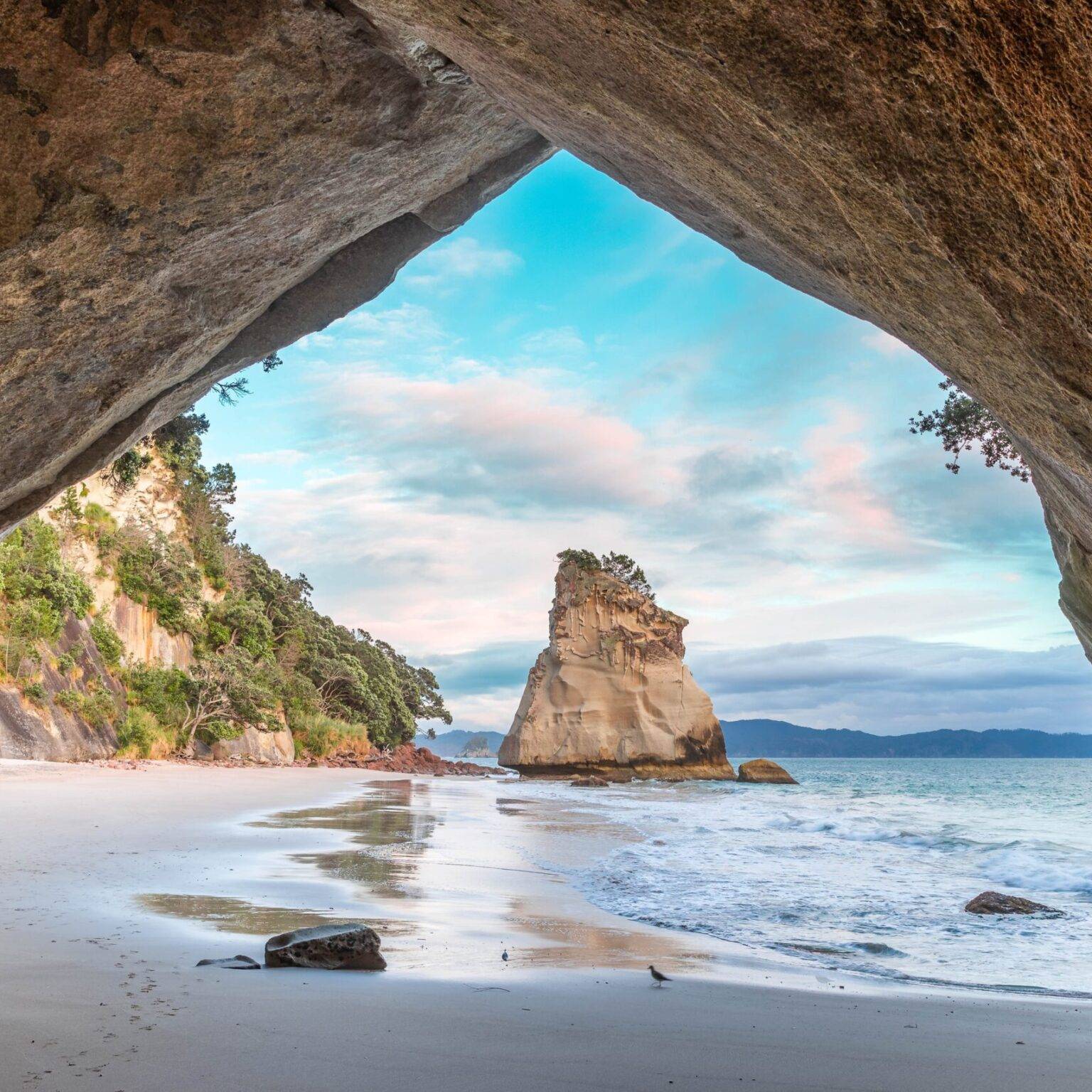 Die Cathedral Cove ist ein Highlight an der Küste der Nordinsel Neuseelands.