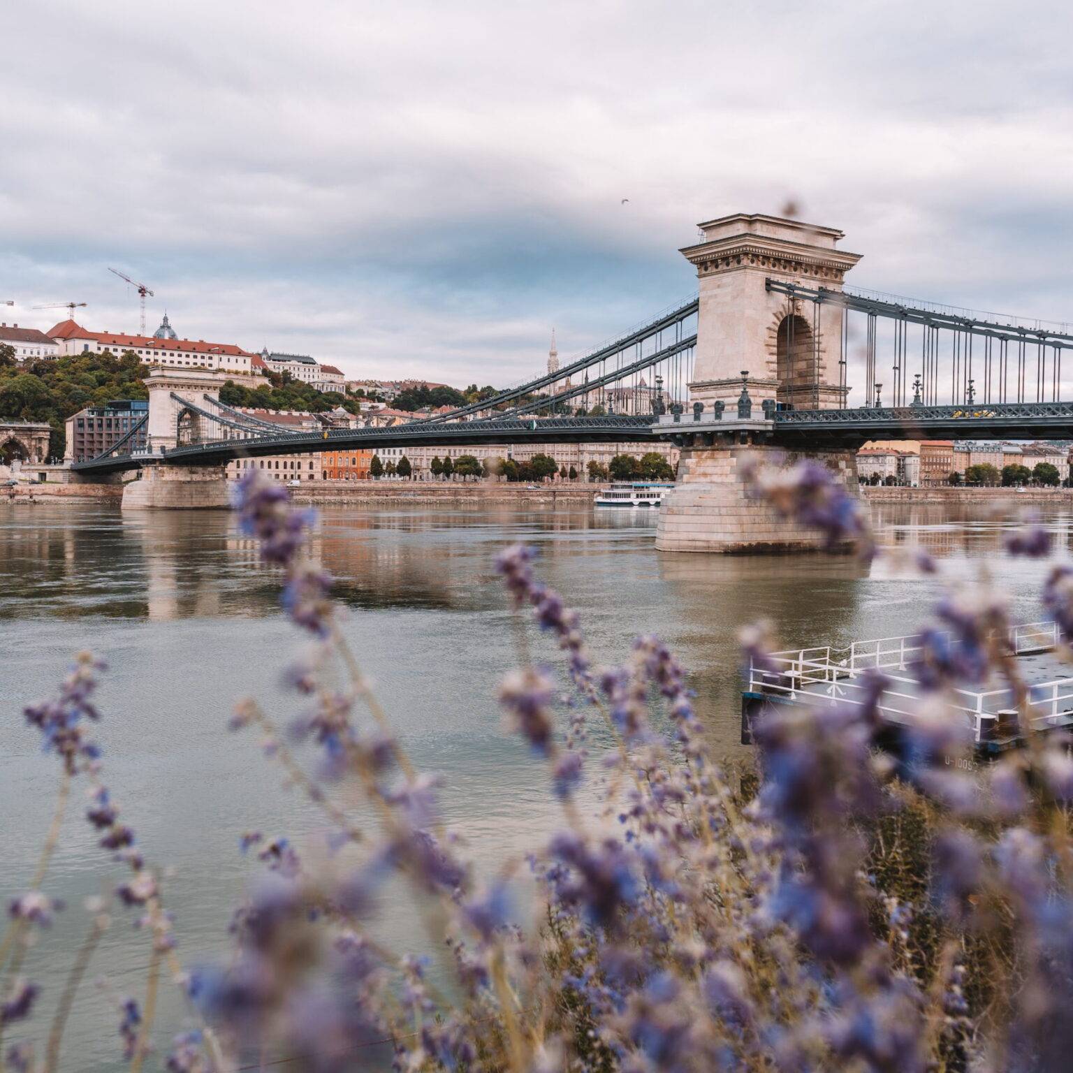 Blick auf die Donau und die Kettenbrücke