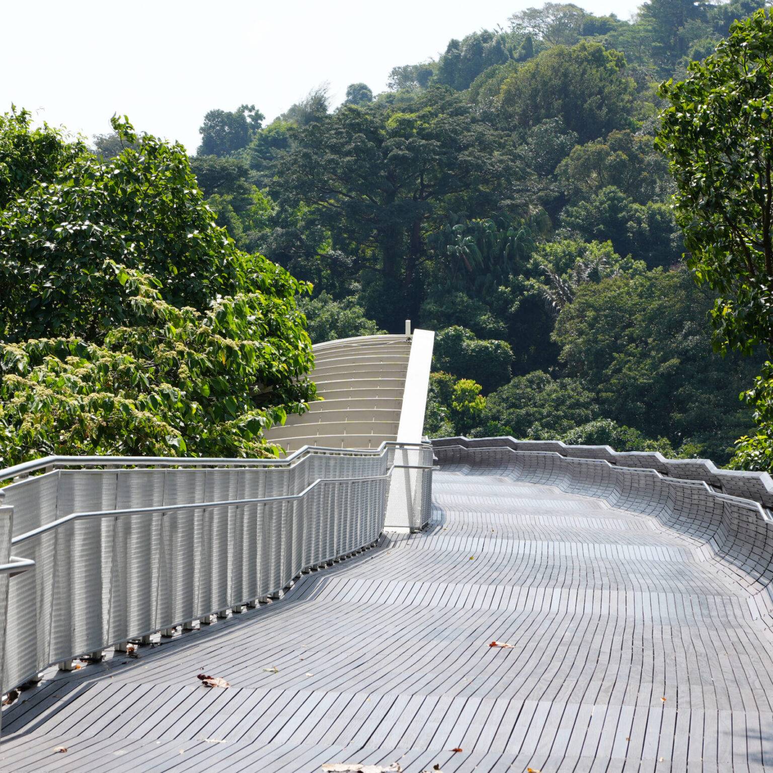 Henderson Waves Brücke in Singapur mit geschwungenem Gehweg durch tropische Vegetation