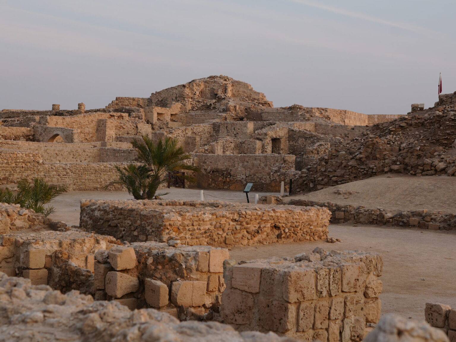 Weitläufige Ruinen der Festung Qal’at al-Bahrain mit alten Steinmauern und einer Palme im sanften Abendlicht.