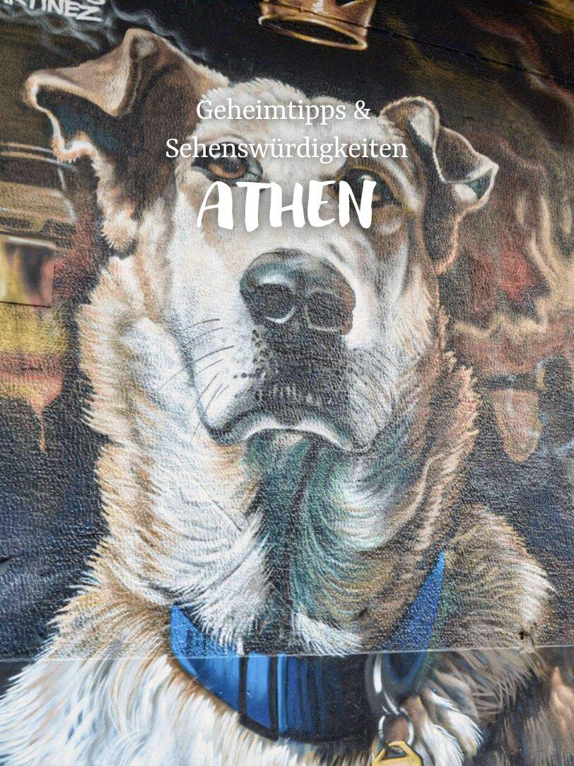 Hund mit blauer Halsbinde vor gemaltem Hintergrund mit dem Text Geheimtipps & Sehenswürdigkeiten Athen.