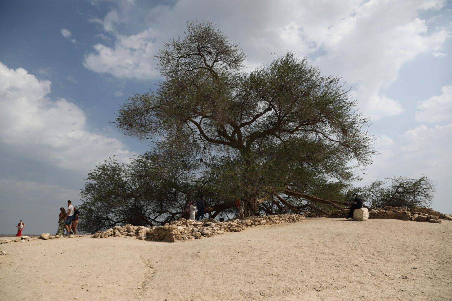 Großer Baum auf sandigem Hügel mit mehreren Personen in der Nähe und einer alten Steinstruktur im Hintergrund.