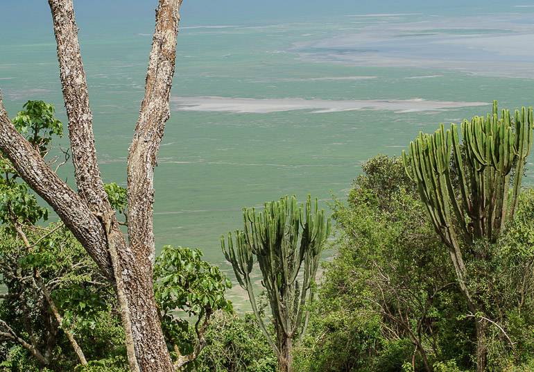 Schon von Weitem ein Blickfang: Der Ngorongoro Krater in Tansania.