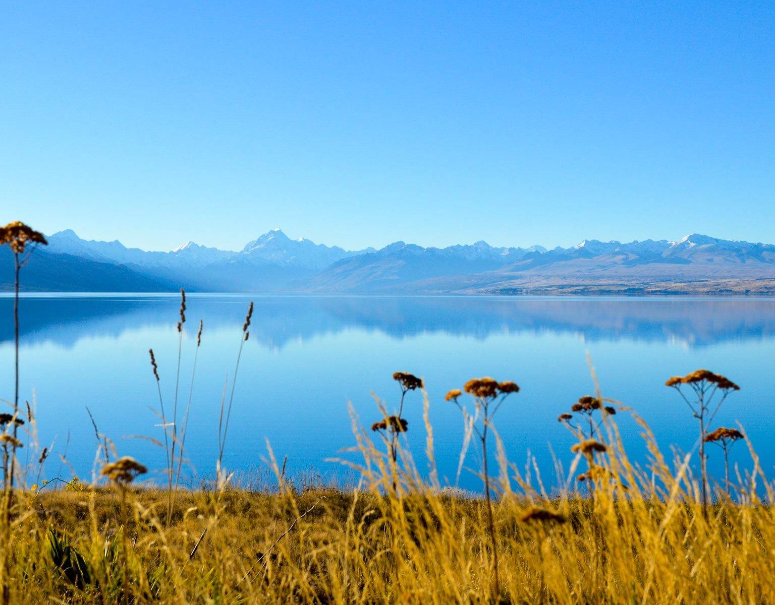 Travellers Insight Reiseblog Neuseeland