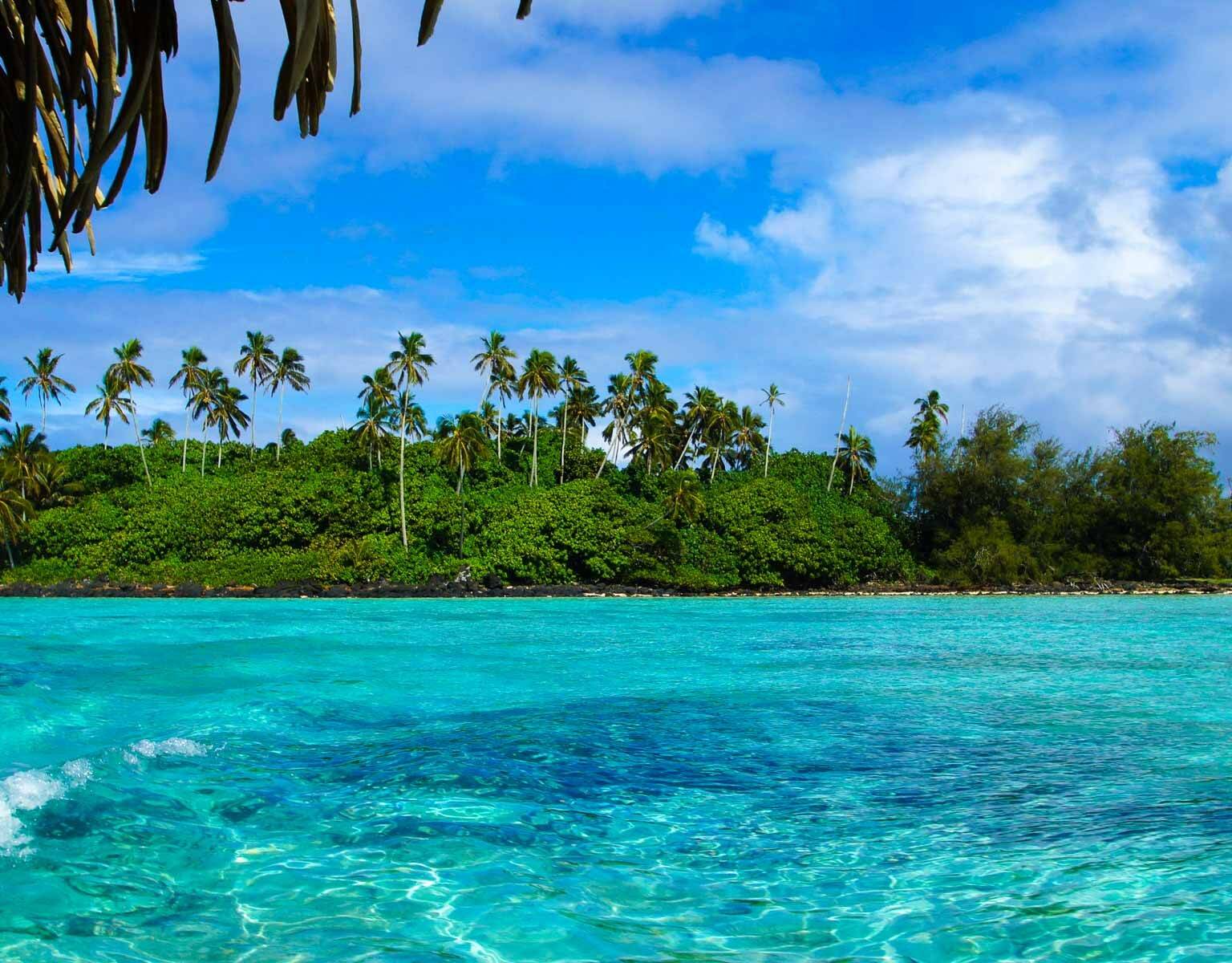 Unter dem Schatten einer Palme liegt der Blick auf glasklares Wasser und die bewachsene Lagune auf Rarotonga in der Südsee.