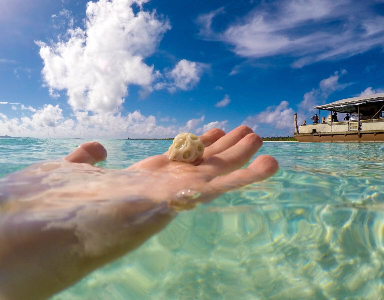 Eine Hand hält im glasklarem Meer auf Aitutaki, Cook Inseln eine beigefarbene Muschel in der Hand.