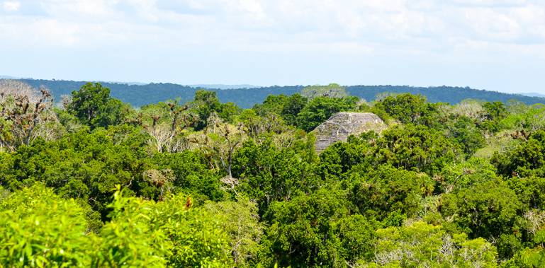 Nachdem die Maya Tikal verließen, eroberte der Regenwald die Gegend zurück.