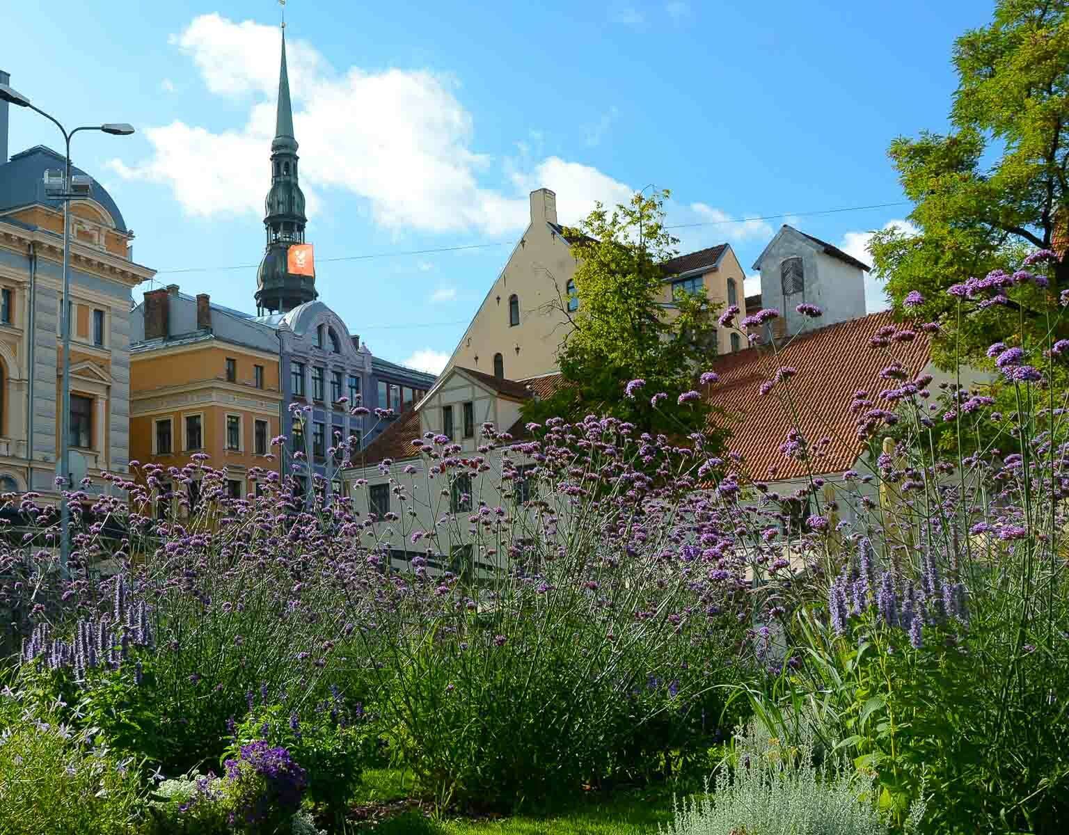 Hinter lila Blumen verstecken sich wunderschöne Häuserfassaden im Jugendstil, sie zieren das Stadtbild Rigas in Lettland.