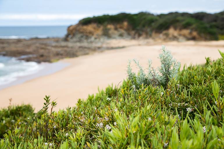 Die Sandstrände an Yarra Valleys Küstenstraße in Victoria sind zur Frühlingszeit menschenleer.