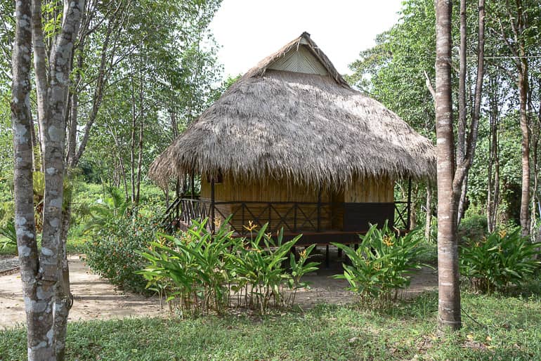 Travellers Insight Reiseblog Reisetipps Kambodscha Cardamom Mountains Chi Path Sun Bear Bungalows