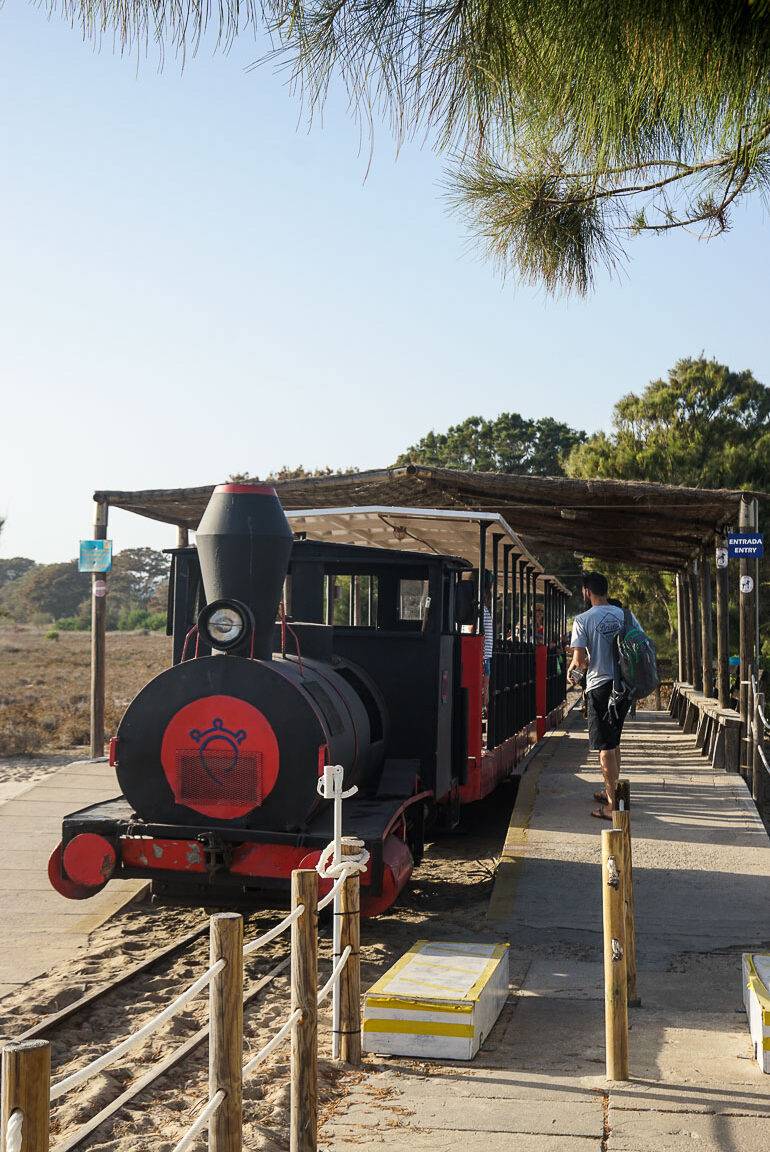 Eine kleine schwarze Eisenbahn macht Halt am Bahnhof von Praia de Barril und ein Mann mit Rucksack begibt sich auf dem Weg zum Einstieg.