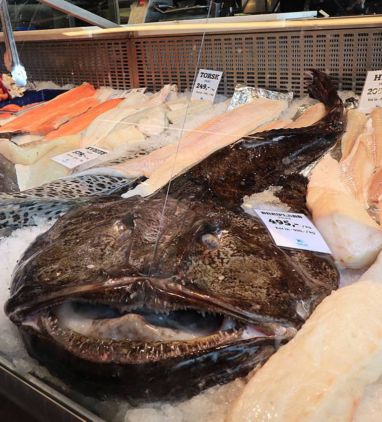 Seeteufel und andere Fänge der lokalen Fischer gibt es auf dem Fischmarkt zu bestaunen.