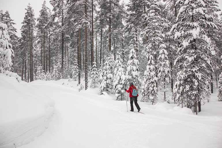 Eine Frau beim Langlaufen in Finnisch Lappland.