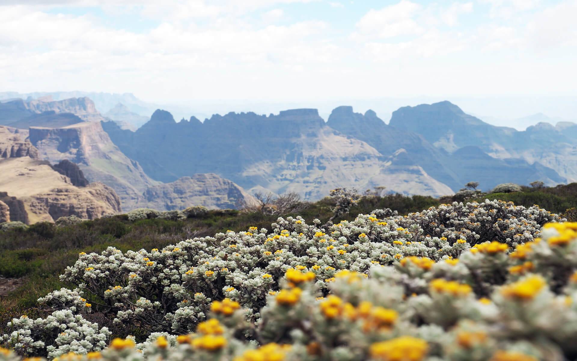 Das Dach Südafrikas – Trekking in den Drakensbergen