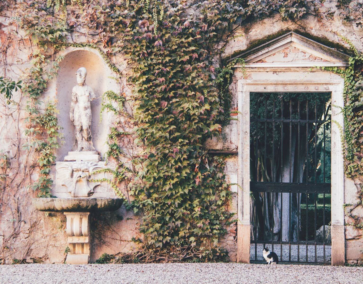 Eine Katze sitzt vor einem alten Eisentor am Eingang zum Giardino Giusti in Verona.
