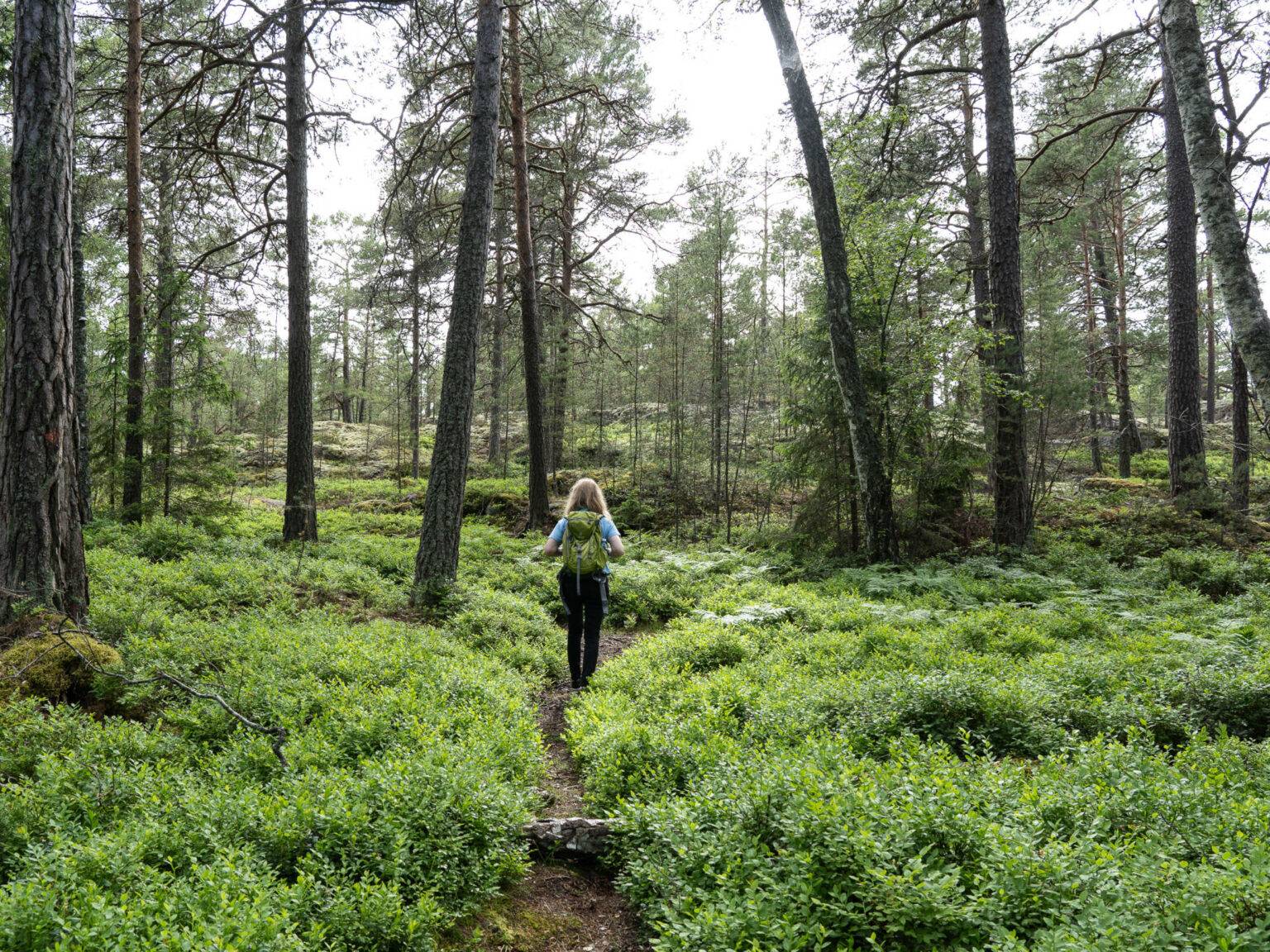 Durch eine saftig-grüne Landschaft voller Sträucher und Wälder wandert Autorin Alexandra auf Grinda im Stockholmer Schärengarten.