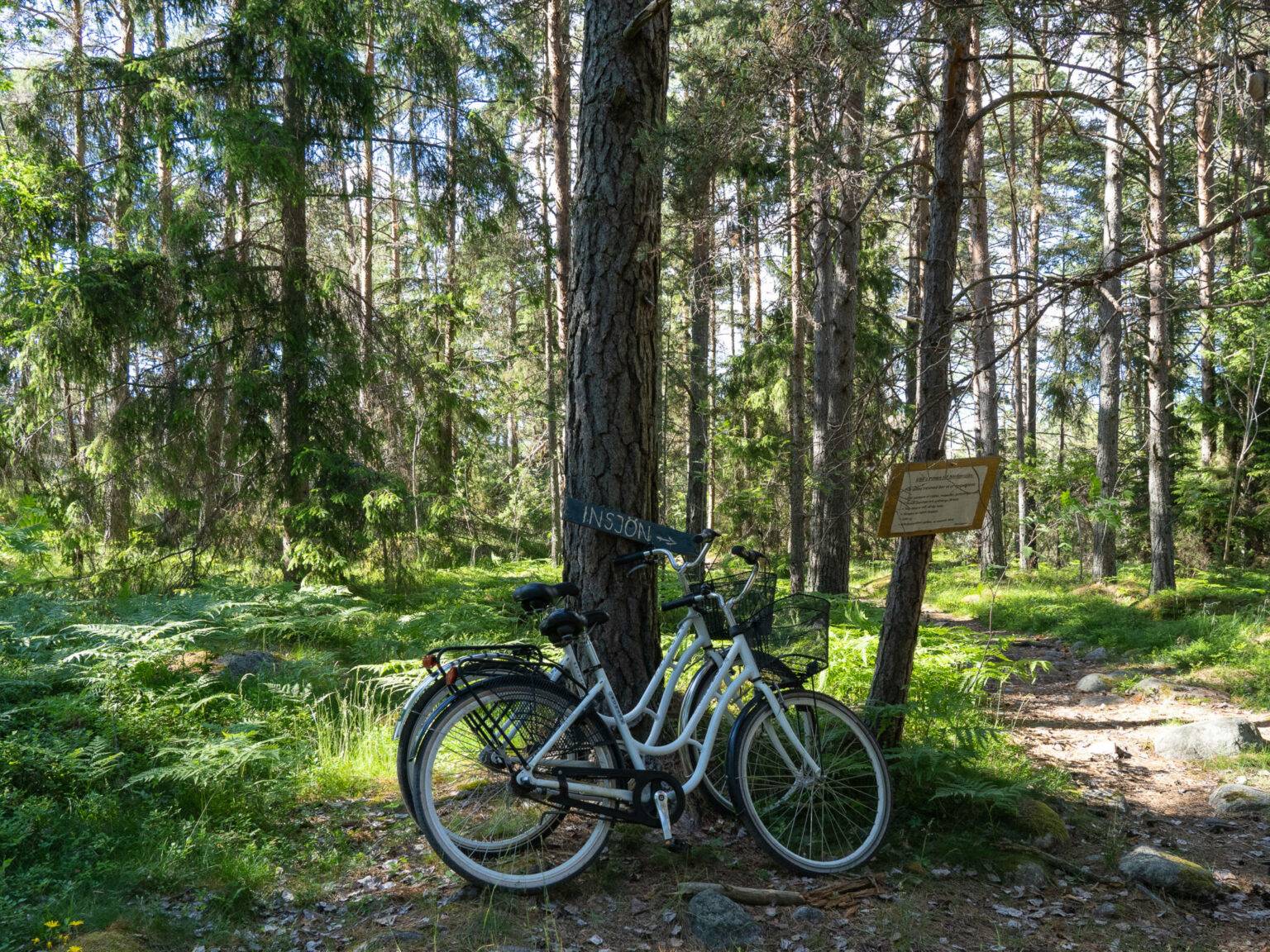 Zwei Fahrräder lehnen am Baum während einer Pause von der Fahrradtour auf der schönen Schäreninsel Möja.
