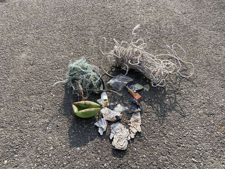 Müll, der ins Meer gelangt, ist für das Unterwasserleben besonders verheerend.