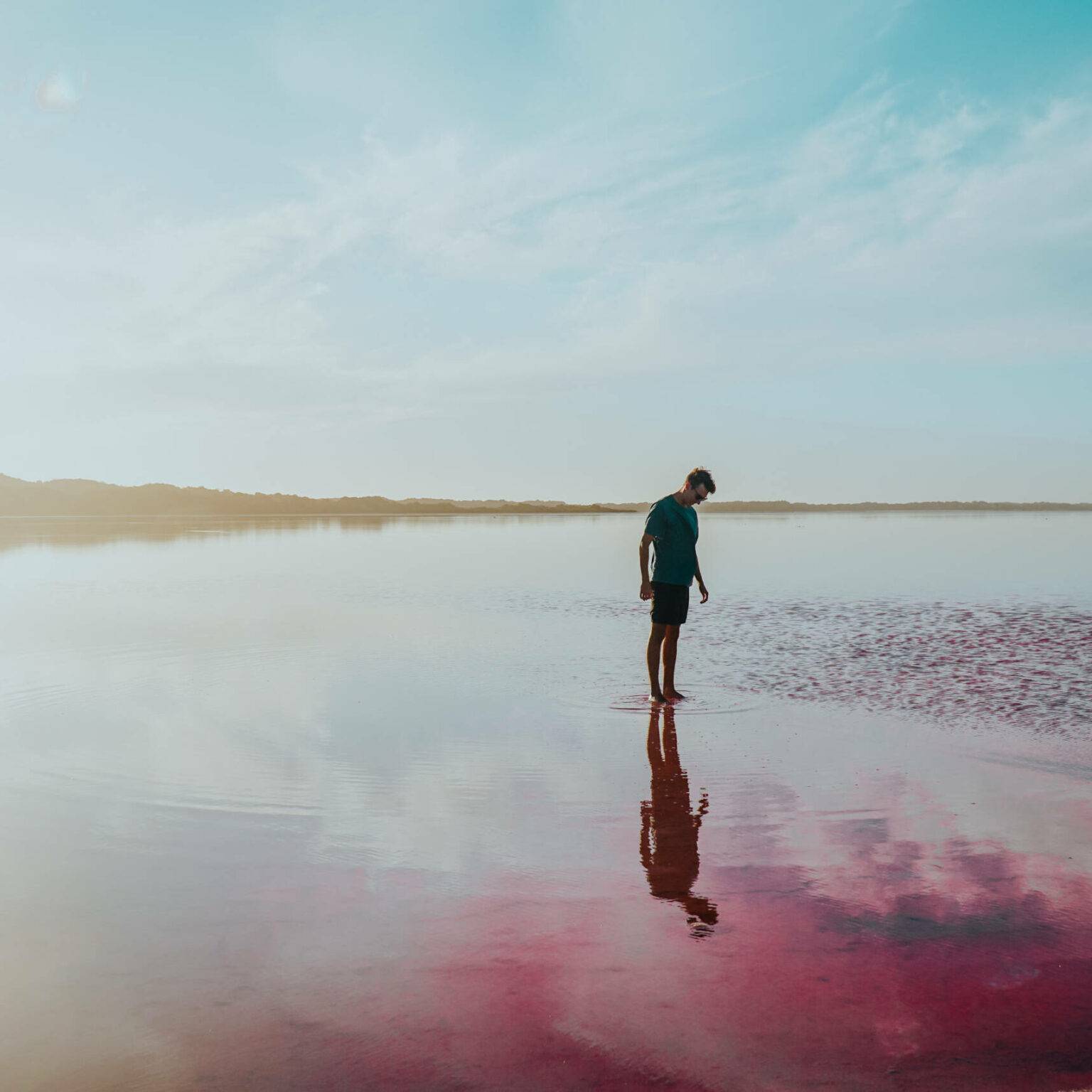 Ein Mann steht im Wasser und schaut sich die lila Wasseroberfläche an